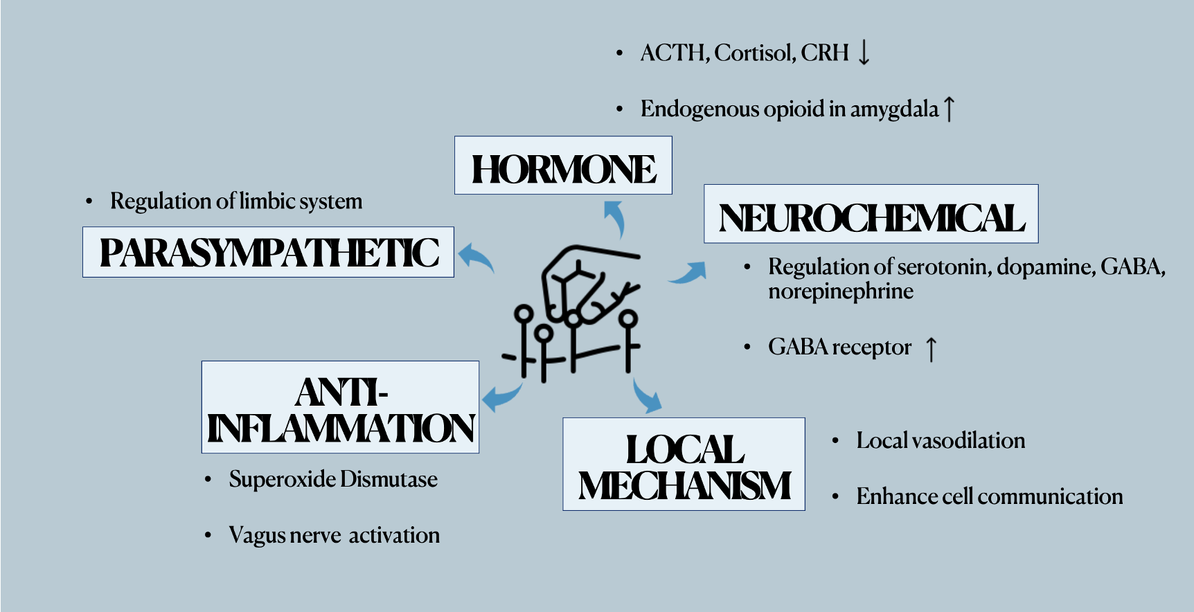 dr. Surya W Giri, Sp.Ak, CHt