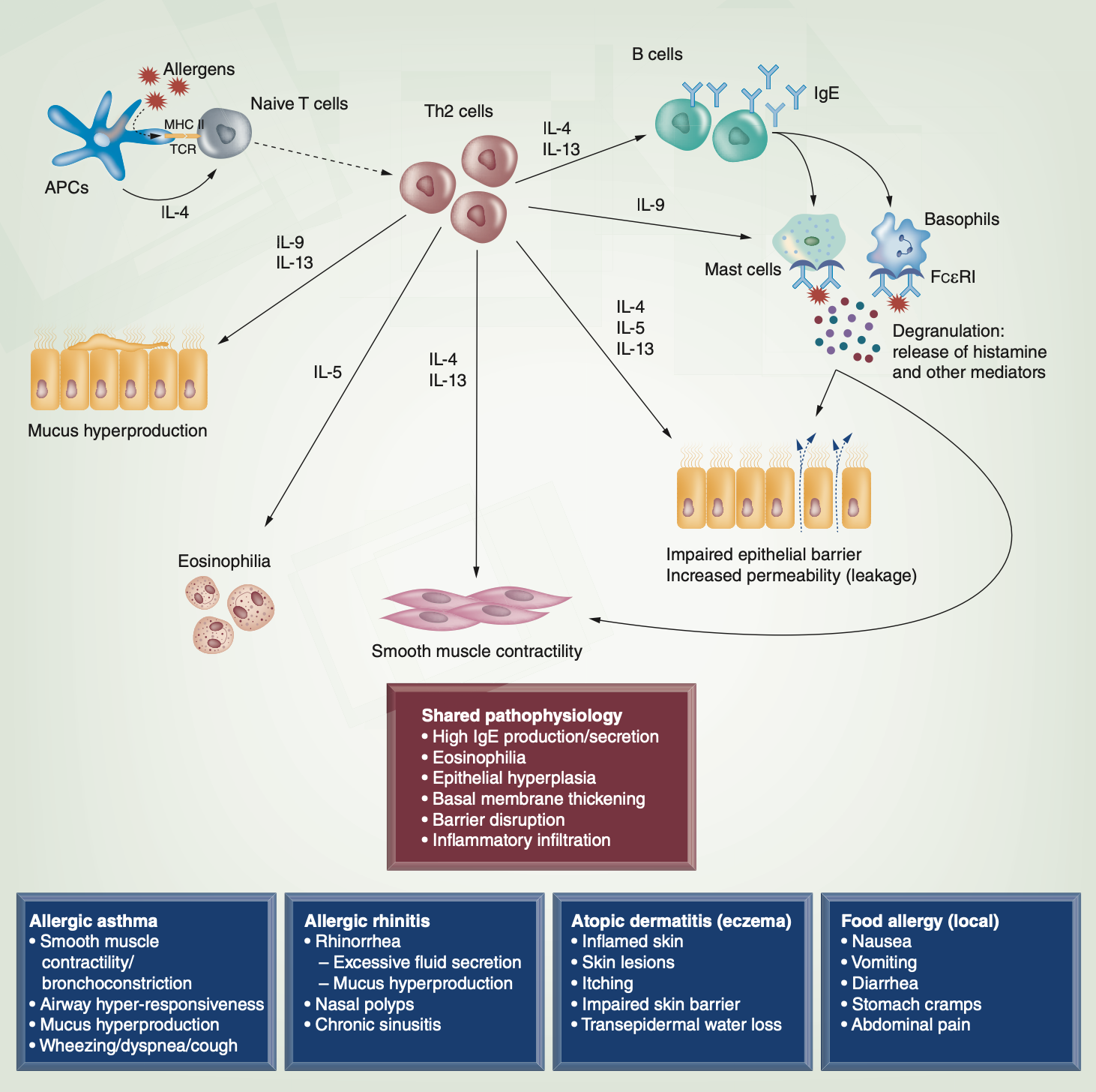 dr. Surya W Giri, Sp.Ak, CHt